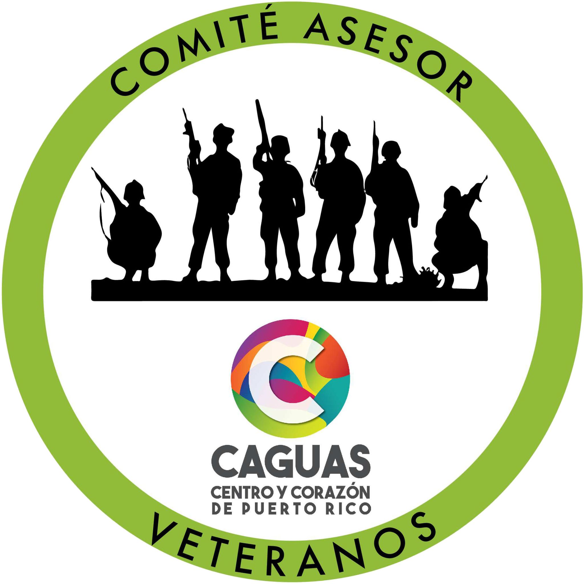 Veteranos Municipio De Caguas veteranos-municipio-de-caguas