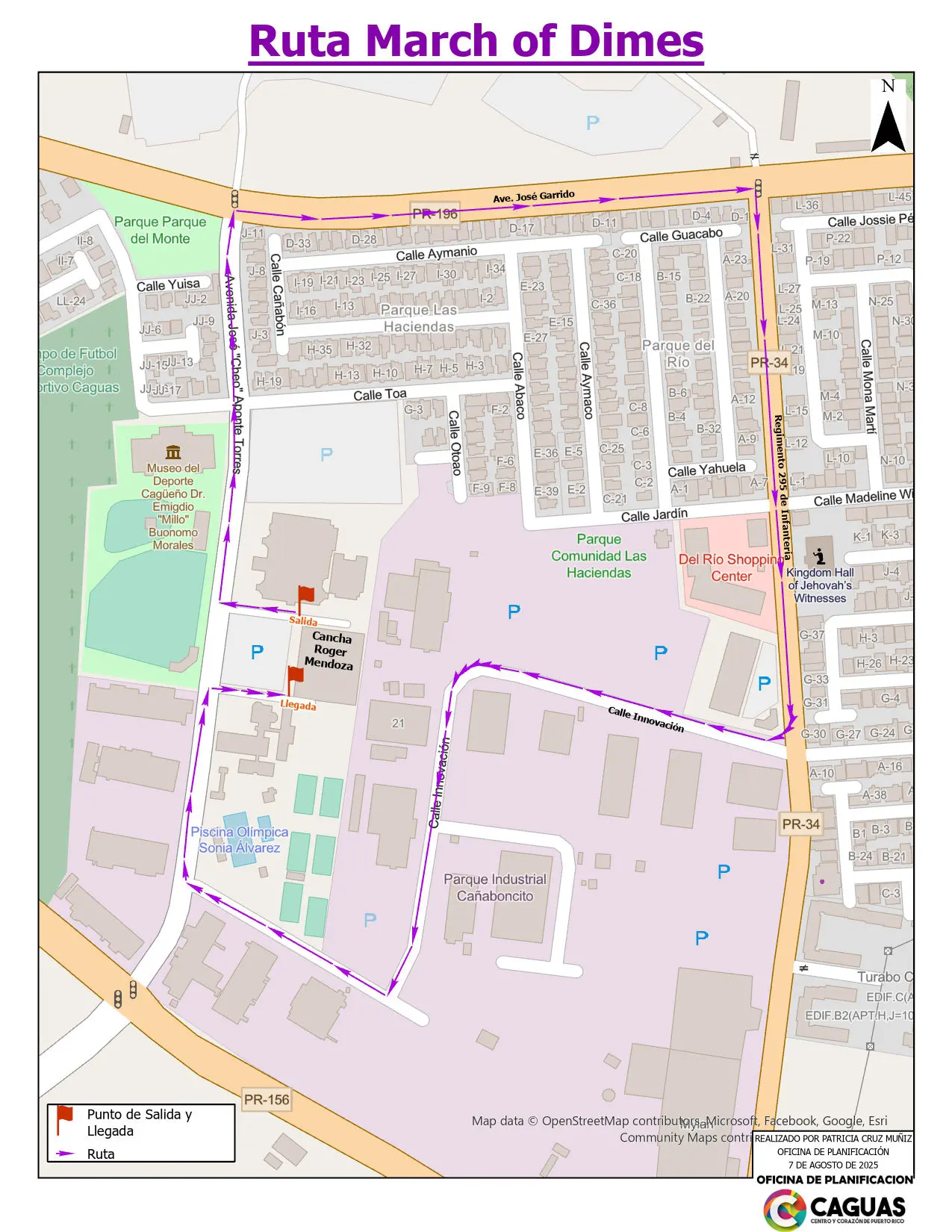 Ruta Marcha por los Bebés 2025
