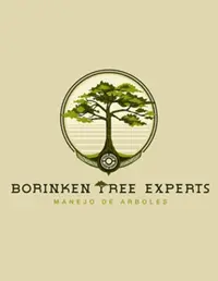 Armando Feliciano Boriken Tree Experts