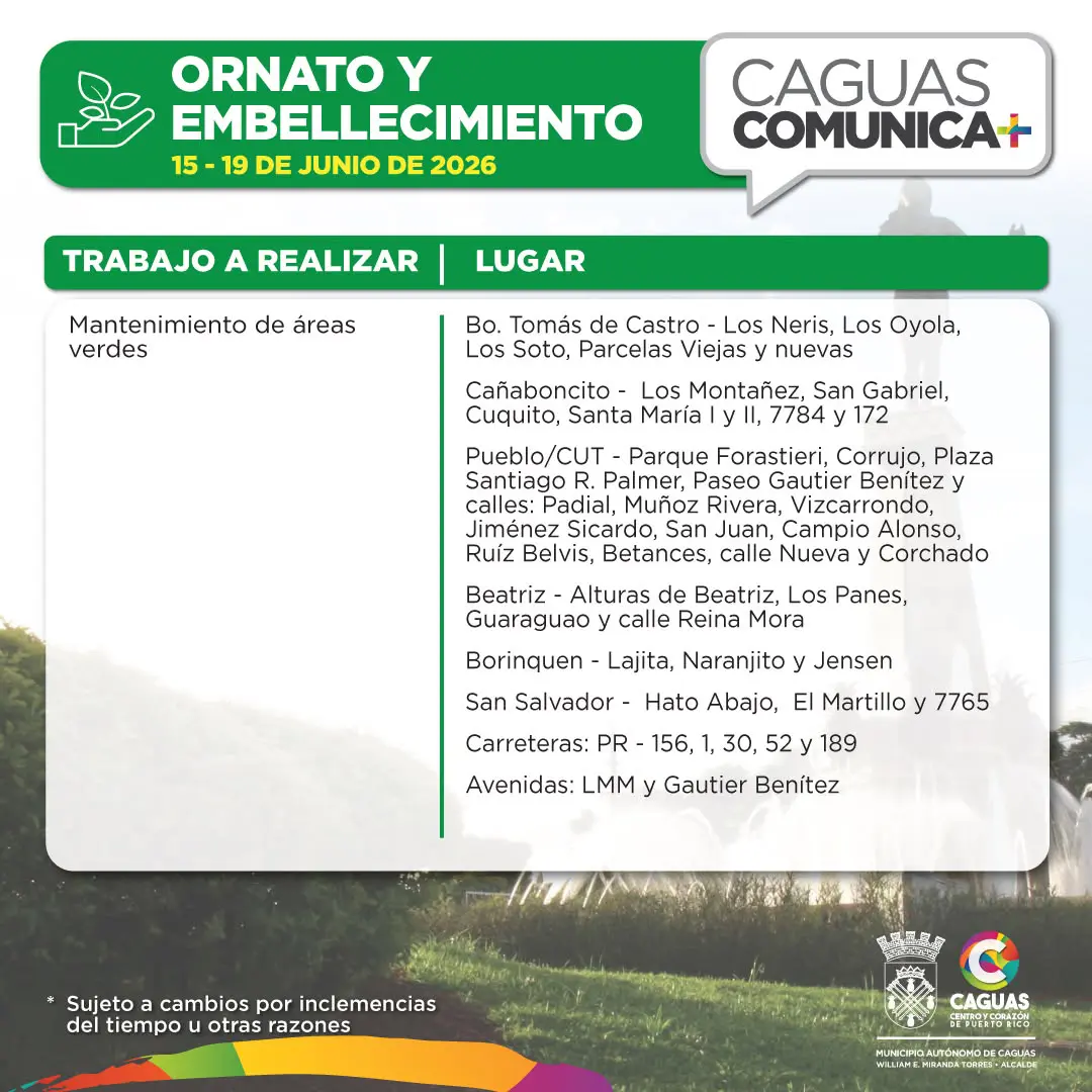 Ornato Calendario de Obras Públicas 15 al 19 de junio 2026