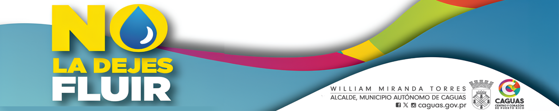 logo NLDF-4